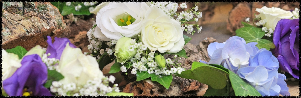 wedding bouquet hydrangea button holes wrist corsage